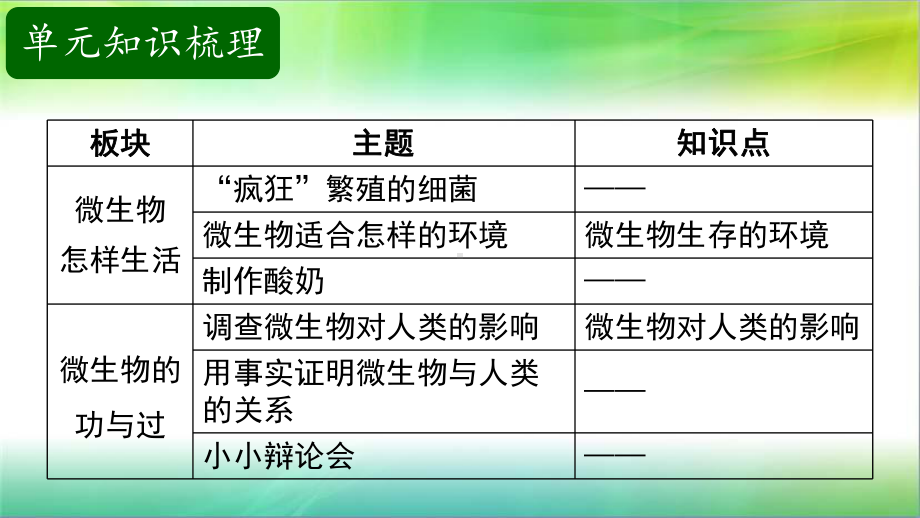 湘科版小学科学五年级下册科学课件第3单元显微镜下的世界复习课件.pptx_第3页