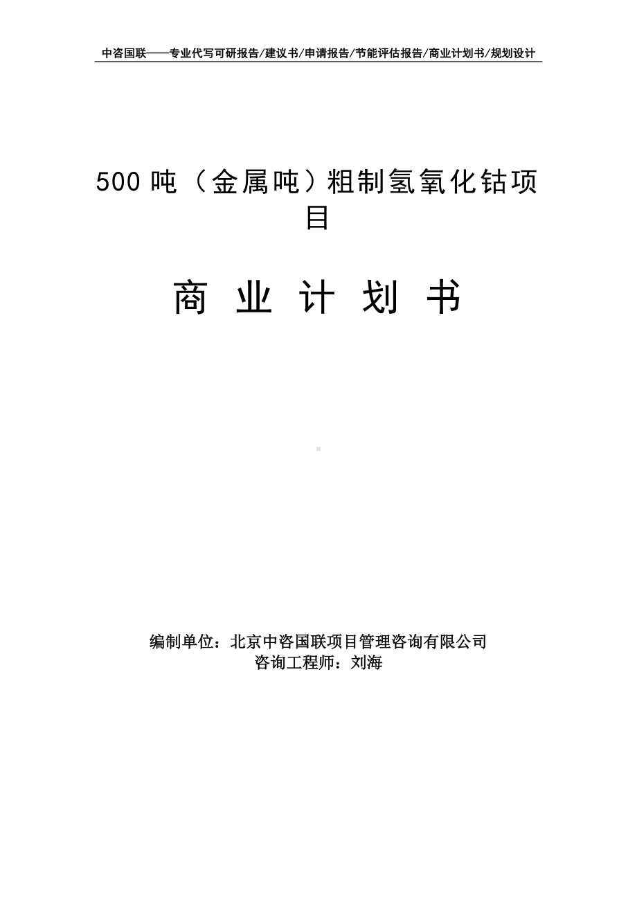 500吨（金属吨）粗制氢氧化钴项目商业计划书写作模板-融资招商.doc_第1页