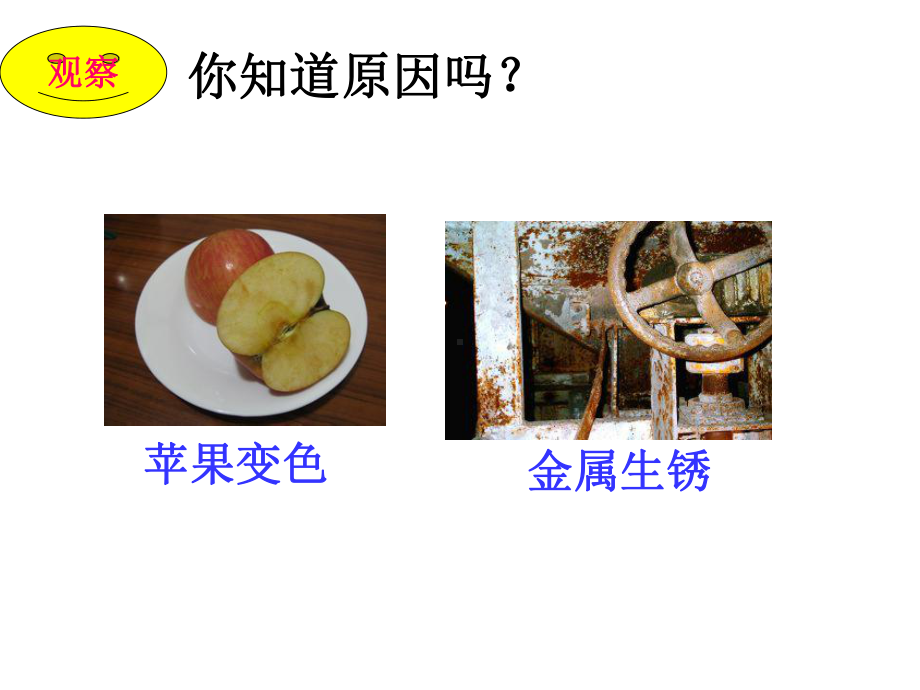 浙教版八年级科学下册氧化和燃烧课件.ppt_第2页