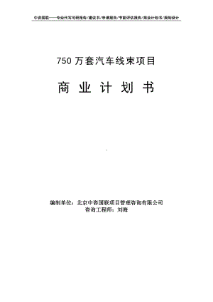 750万套汽车线束项目商业计划书写作模板-融资招商.doc