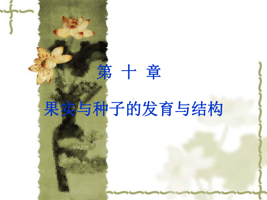 植物学-果实与种子的发育与结构-课件1.ppt_第1页