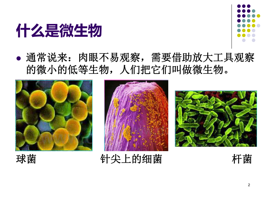 有趣的微生物课件.ppt_第2页