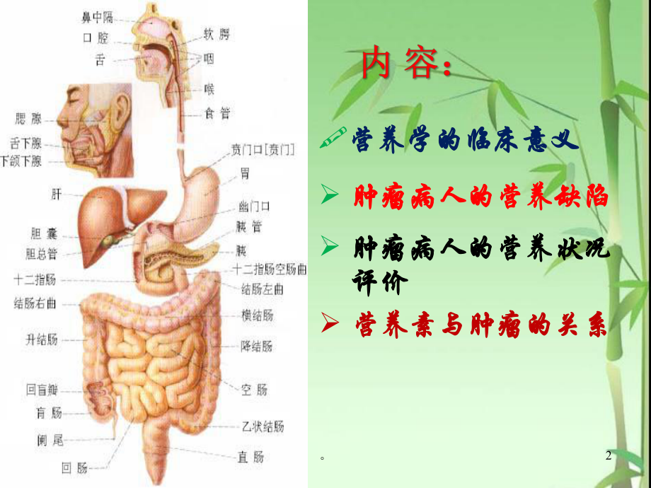 新版肿瘤病人的营养膳食及护理-医学课件.ppt_第2页