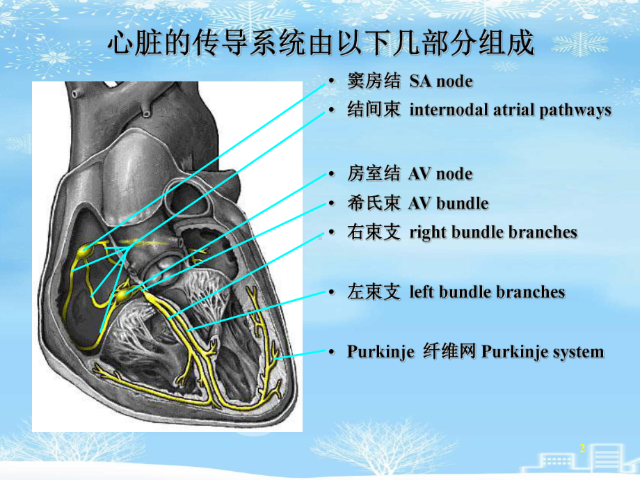 正常心电图培训2021完整版课件.ppt_第2页