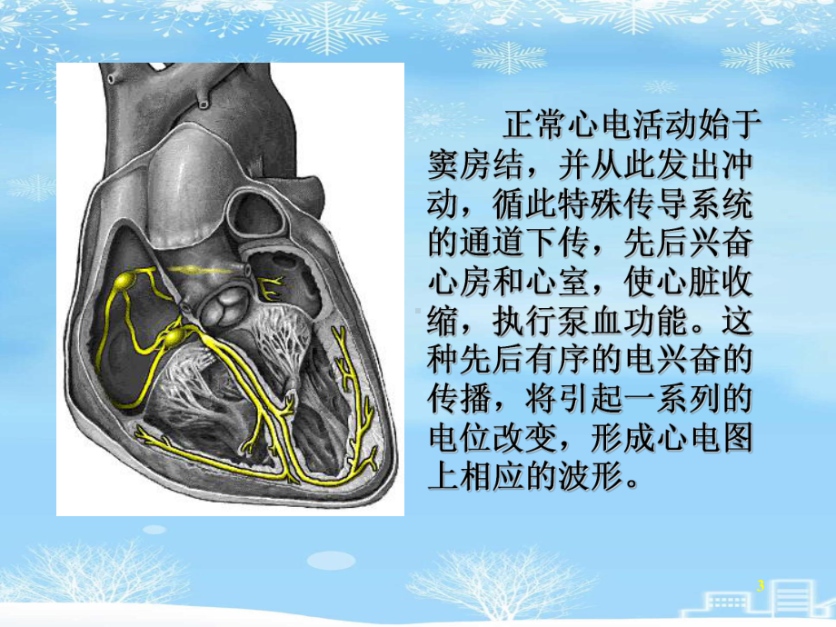 正常心电图培训2021完整版课件.ppt_第3页