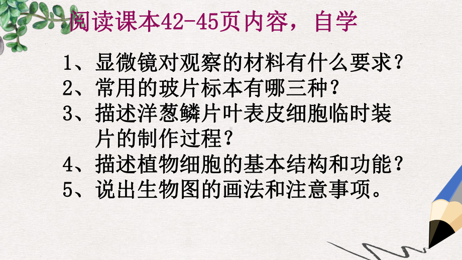 新人教版七年级生物上册第二单元第一章第二节植物细胞课件1.ppt_第2页