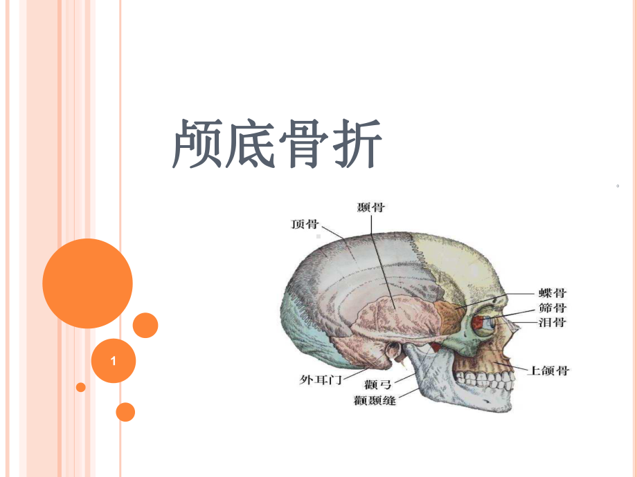 新版颅底骨折护理标准培训课件.ppt_第1页