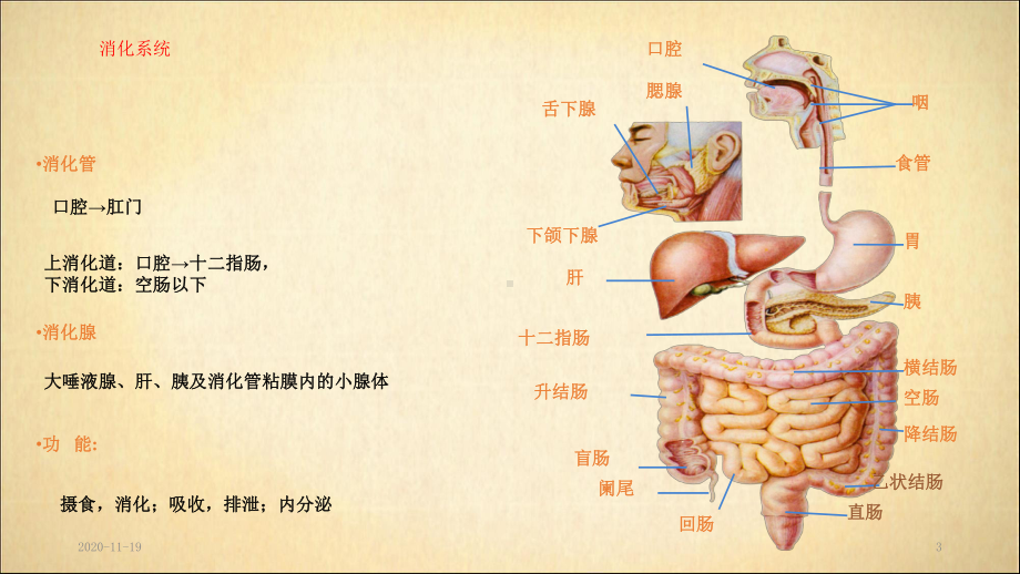 消化道出血护理(最新课件).ppt_第3页