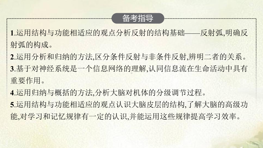 新教材人教版高中生物选择性必修1稳态与调节-第二章神经调节-2022新高考一轮复习课件.pptx_第3页