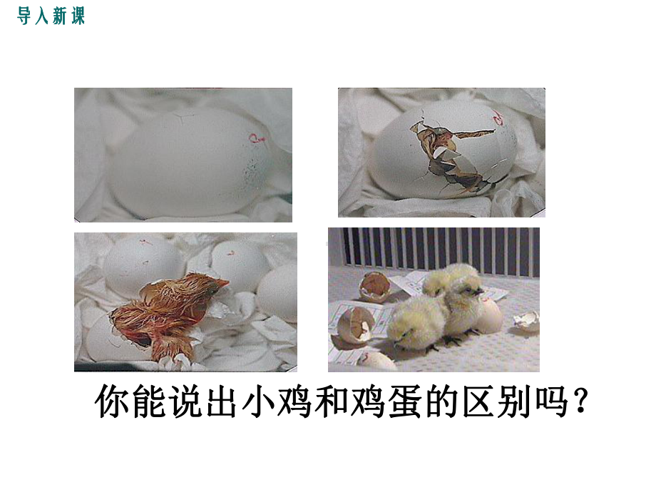 北师大版七年级生物上册第4章-生物体的结构层次-课件.pptx_第2页