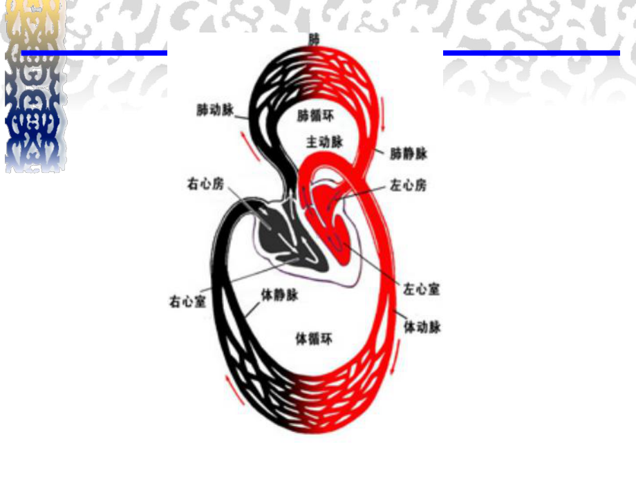 局部血液循环障碍—病理学课件.ppt_第2页