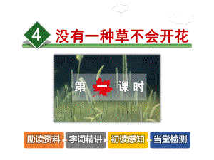 没有一种草不会开花课件.ppt