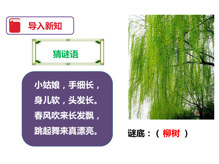 古诗二首咏柳课件.ppt_第3页