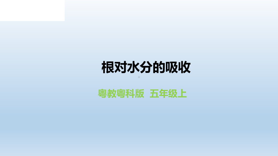 新粤教版五年级科学上册12《根对水分的吸收》-教学课件.pptx_第1页