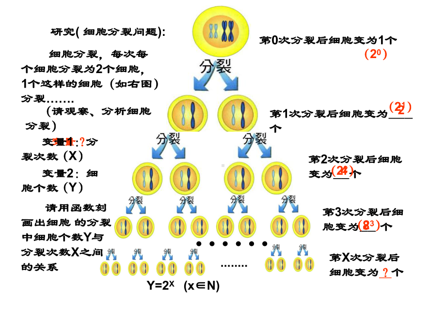 爆炸函数指数函数222课件.ppt_第2页