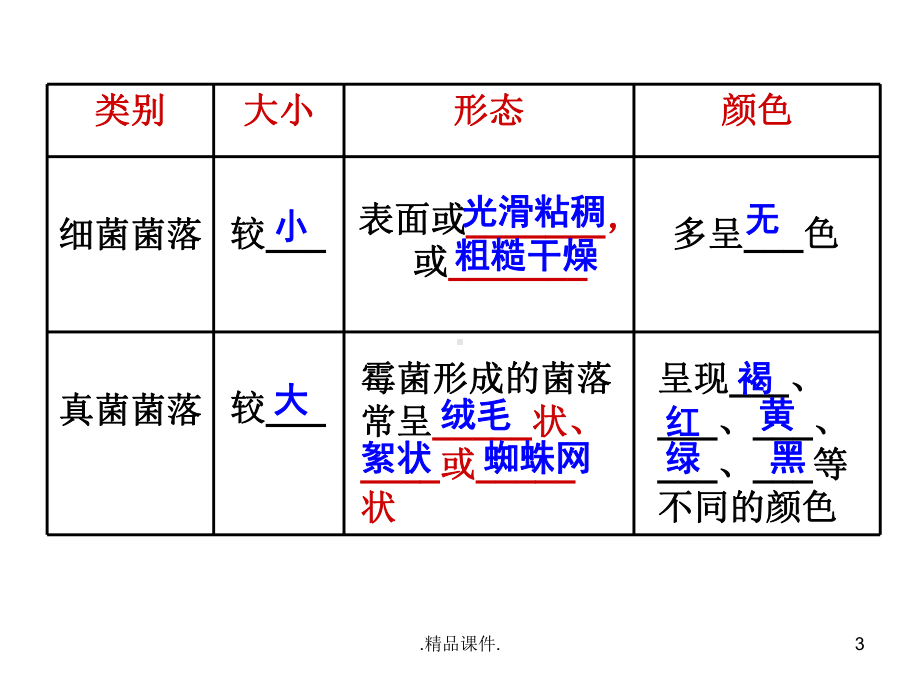 复习课件细菌、真菌、病毒(复习).ppt_第3页