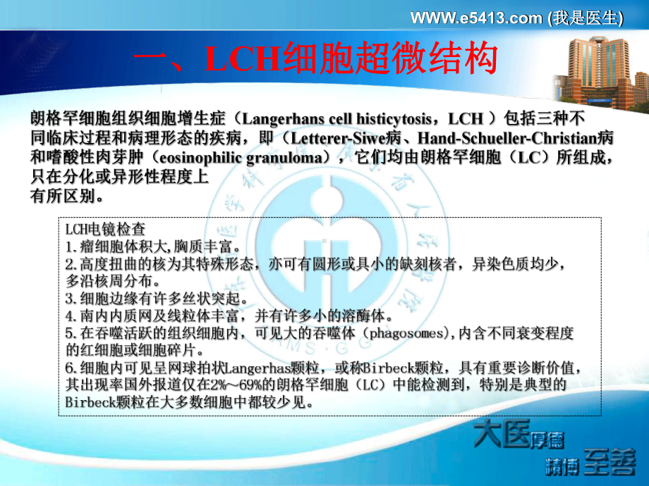 朗格罕细胞组织细胞增生症诊疗指南课件.ppt_第3页