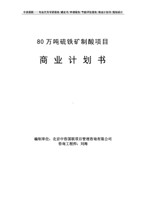 80万吨硫铁矿制酸项目商业计划书写作模板-融资招商.doc