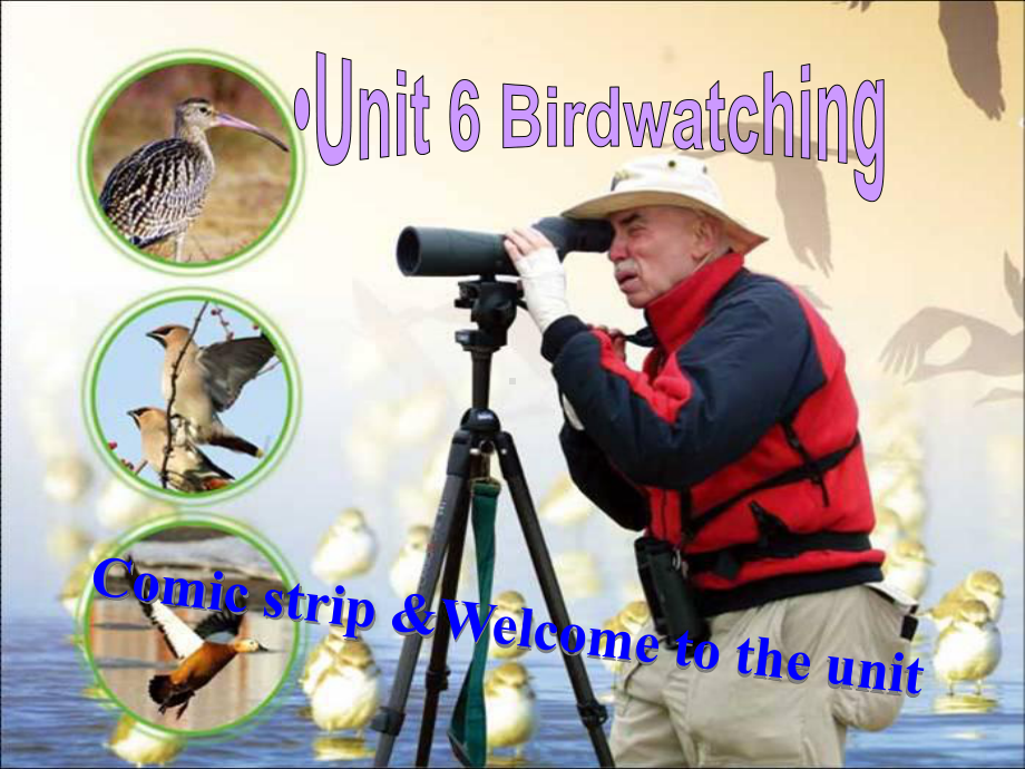 最新牛津译林版八年级英语上册(8A)Unit6-Birdwatching-welcome公开课课件.ppt_第2页