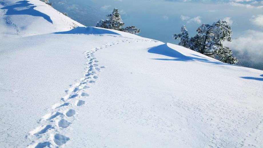 最新部编版小学语文一年级上册课件《雪地里的小画家》.ppt_第1页