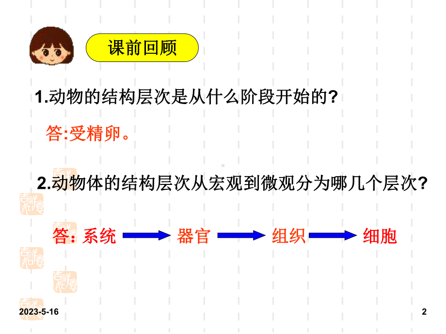 最新人教版七年级上册生物课件：3第三节-植物体的结构层次.ppt_第2页