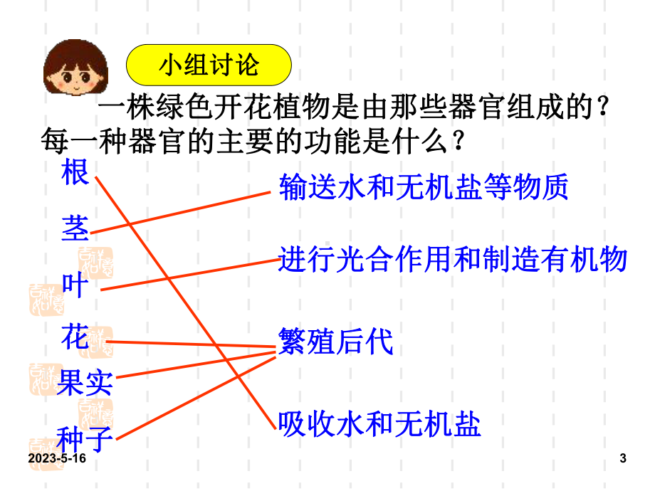 最新人教版七年级上册生物课件：3第三节-植物体的结构层次.ppt_第3页