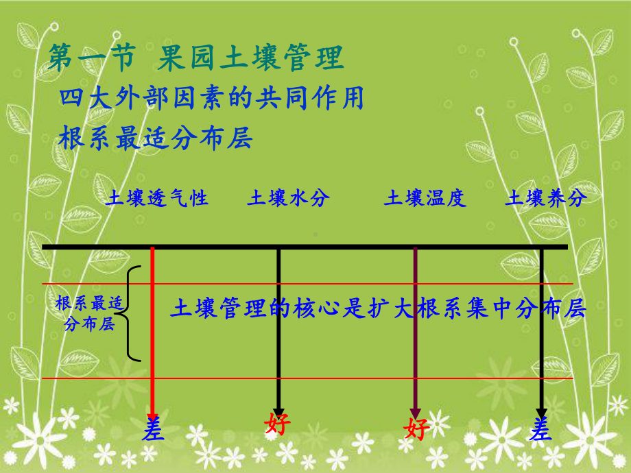 果树土肥水管理3学时课件.ppt_第3页