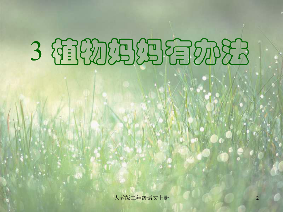 植物妈妈有办法课件讲义.ppt_第2页