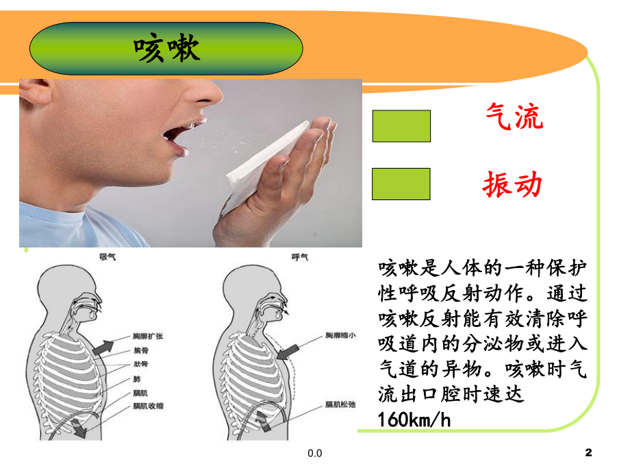 概述机械震荡排痰课件.ppt_第2页