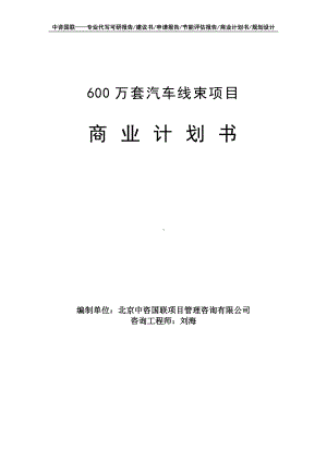 600万套汽车线束项目商业计划书写作模板-融资招商.doc