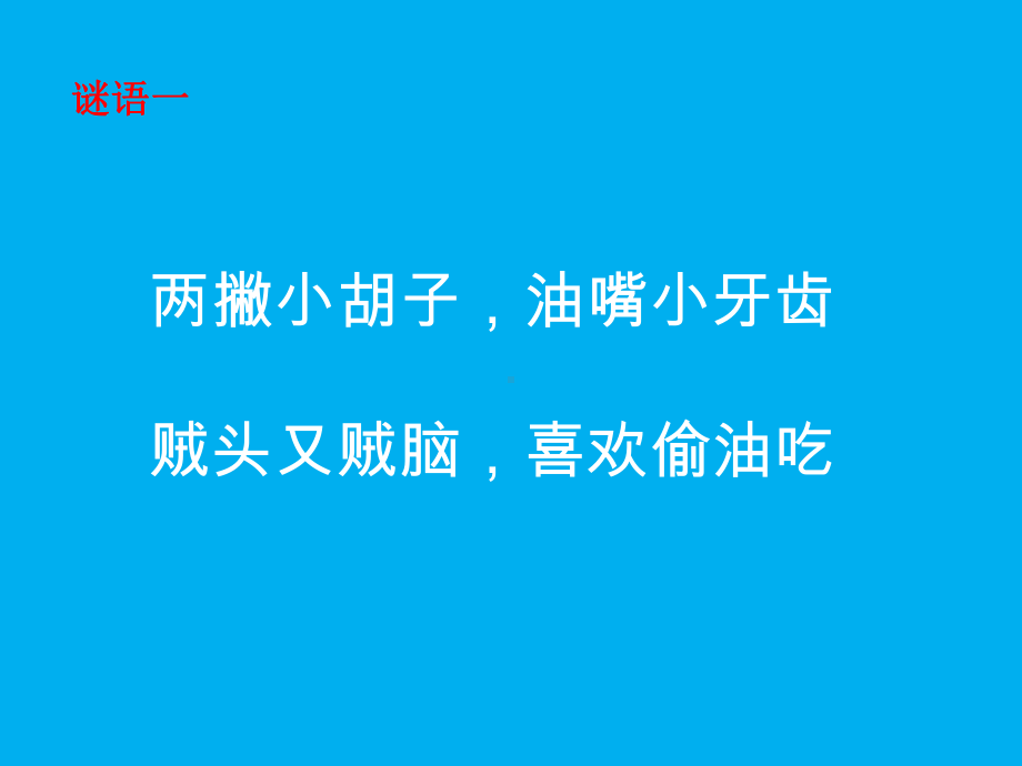 新城幼儿园《小班十二生肖》课件.ppt_第3页