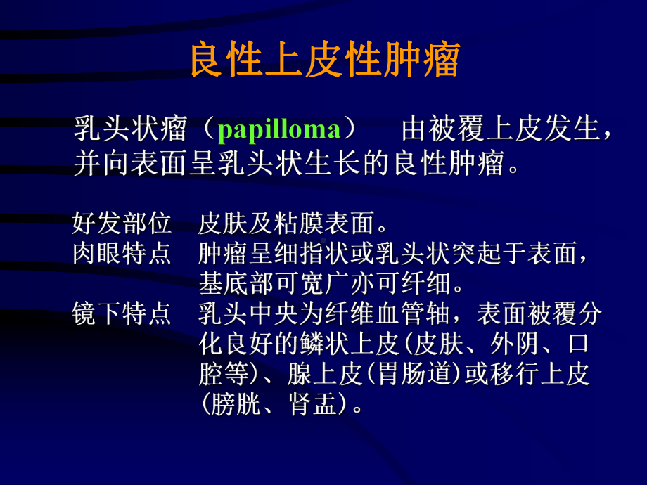 某医学部北医肿瘤课件C.ppt_第2页