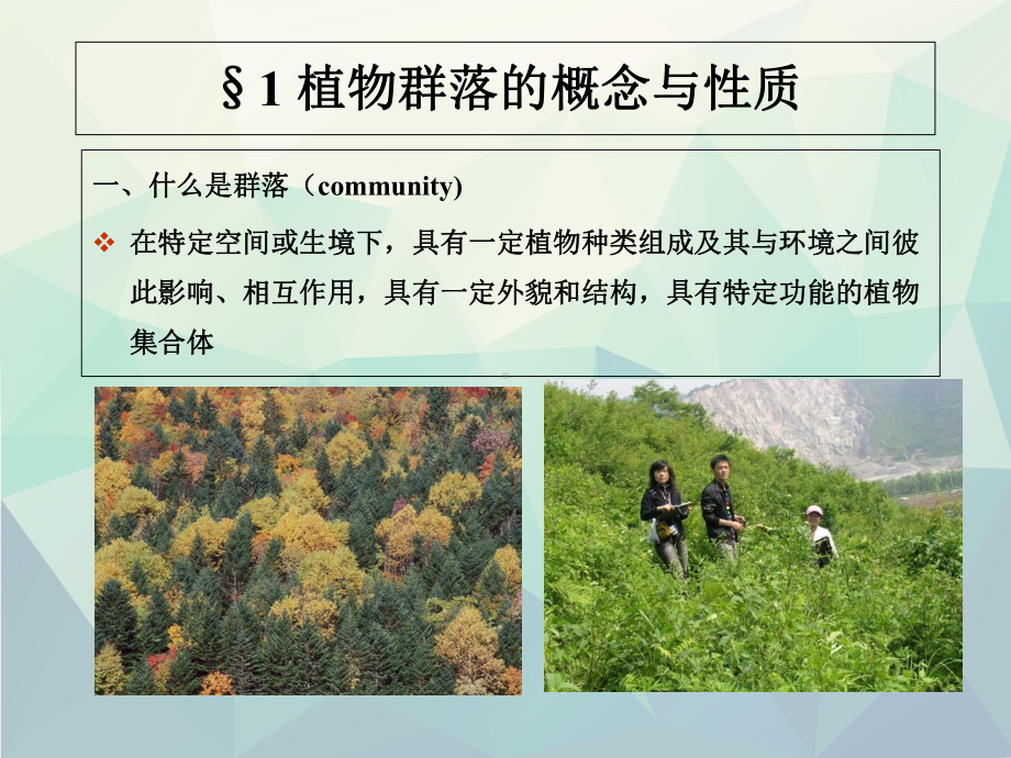 植物群落的种类组成课件.ppt_第3页