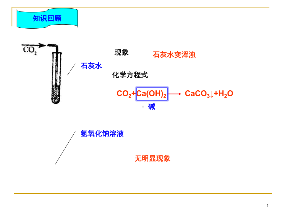 探究二氧化碳与氢氧化钠反应课件.pptx_第1页