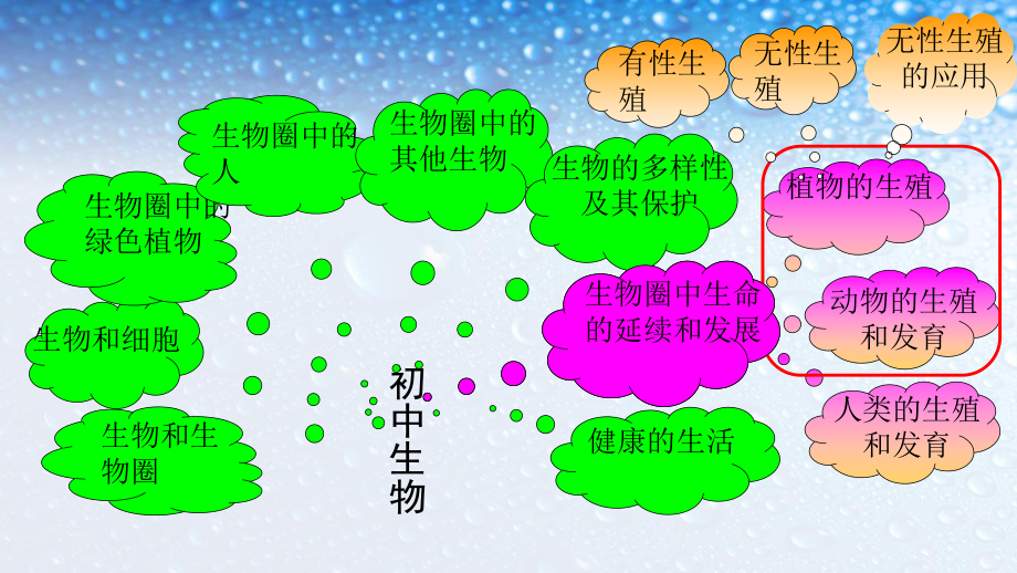 新人教版八年级生物下册711植物的生殖课件.ppt_第2页