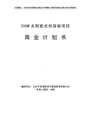 25GW太阳能光伏背板项目商业计划书写作模板-融资招商.doc