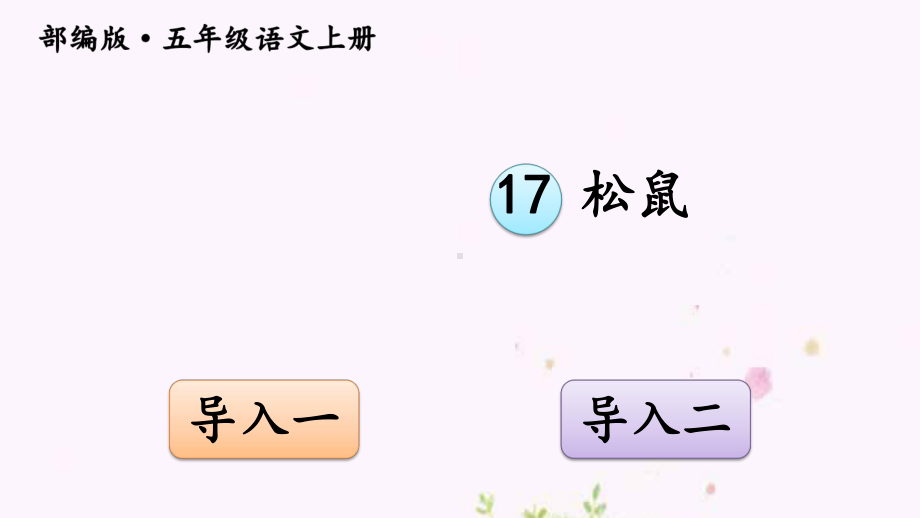 最新部编版小学语文五年级上册课件：17-松鼠.ppt_第1页