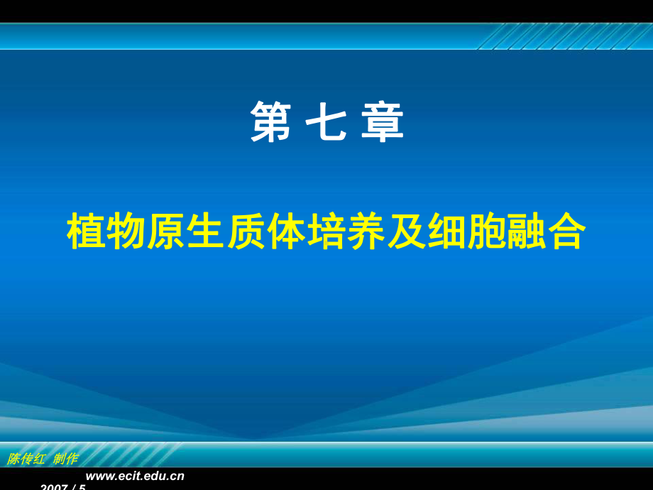 植物组织培养第七章植物原生质体培养及细胞融合课件.ppt_第1页