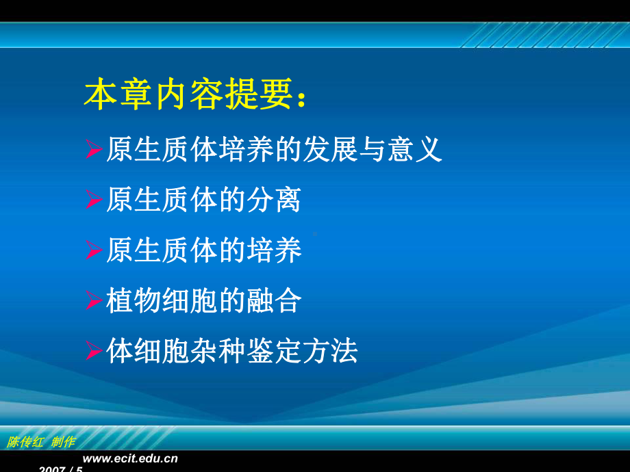 植物组织培养第七章植物原生质体培养及细胞融合课件.ppt_第2页