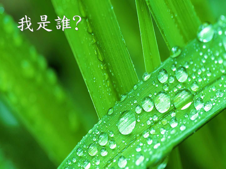 植物诗教学分享课件.ppt_第2页