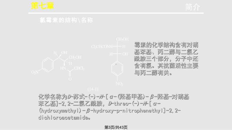 氯霉素生产工艺原理课件.pptx_第3页