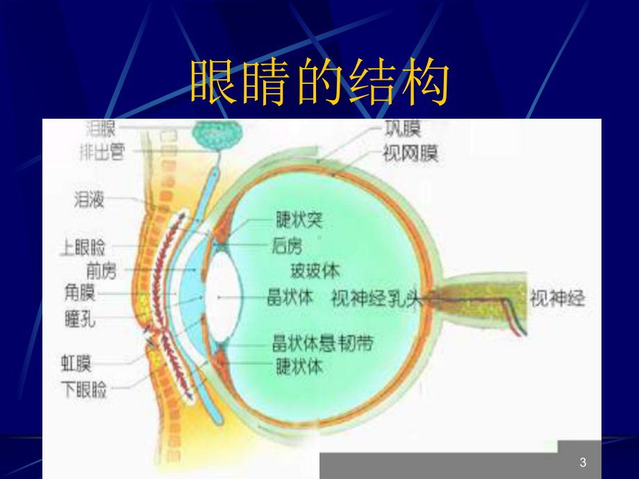 新版近视眼的预防课件.ppt_第3页