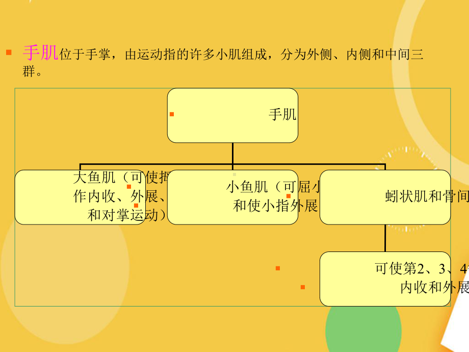 常见的手部损伤及护理优品资料课件.ppt_第3页