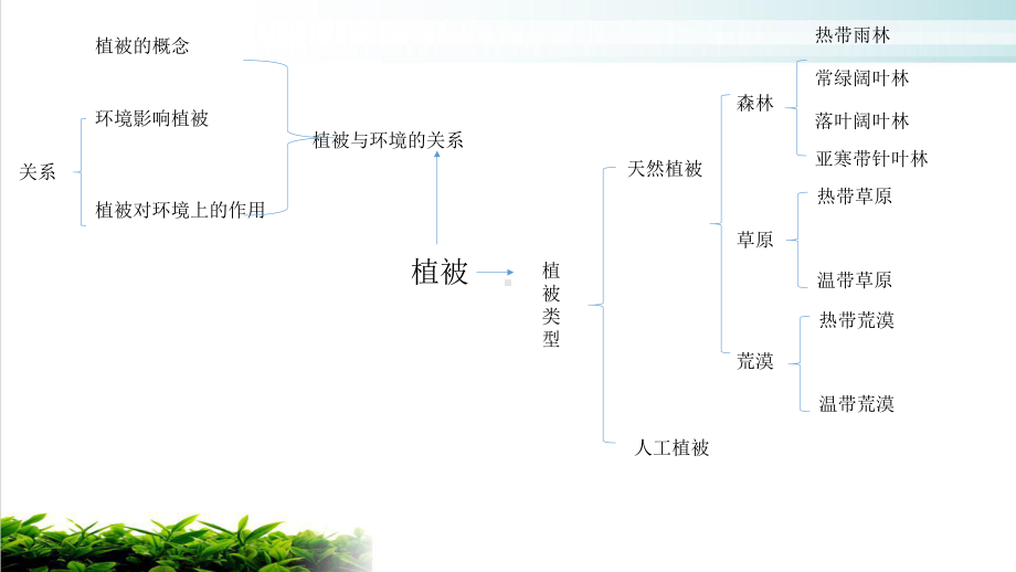 植被培训课件.pptx_第2页