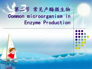 微生物发酵产酶课件2.ppt