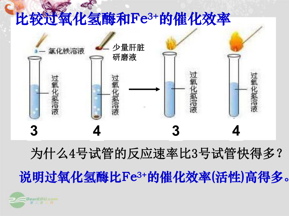 河北省某中学高中生物-第五章《51-酶》课件2-必修1.ppt_第2页