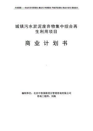 城镇污水淤泥废弃物集中综合再生利用项目商业计划书写作模板-融资招商.doc