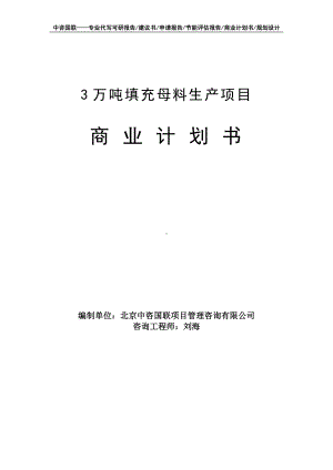 3万吨填充母料生产项目商业计划书写作模板-融资招商.doc