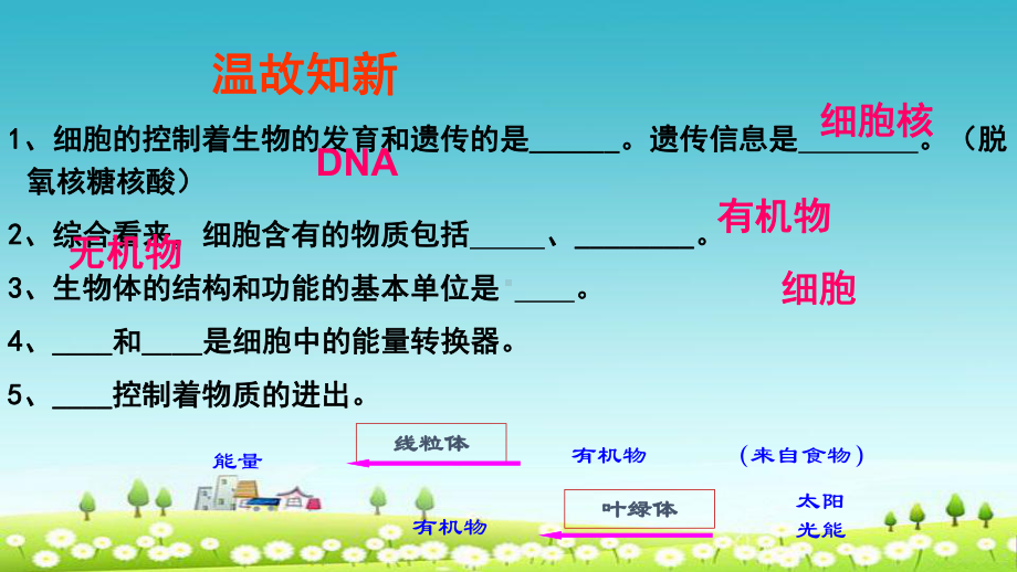 新人教版七年级生物上册第二单元第二章第一节节细胞通过分裂产生新细胞课件.ppt_第1页