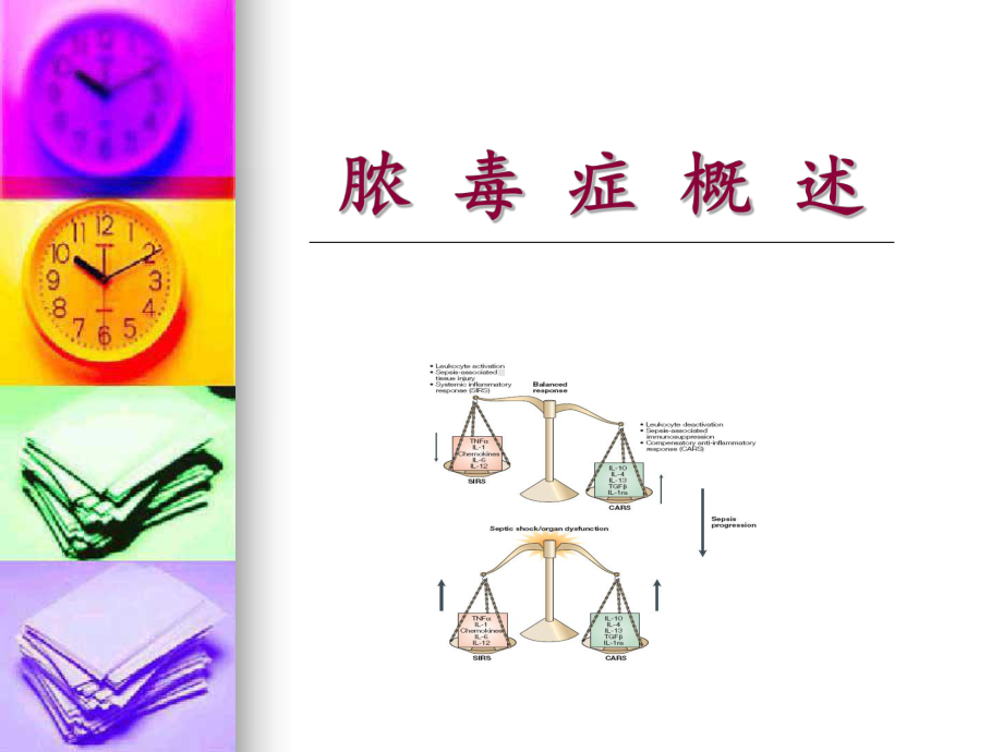 抗生素诱导性脓毒症课件.ppt_第3页